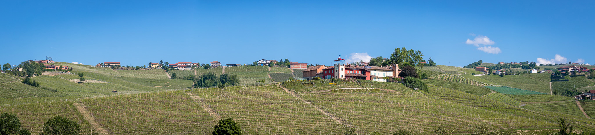 Pugnane Vini